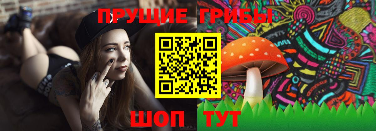 Галлюциногенные грибы прущие грибы Карачаевск